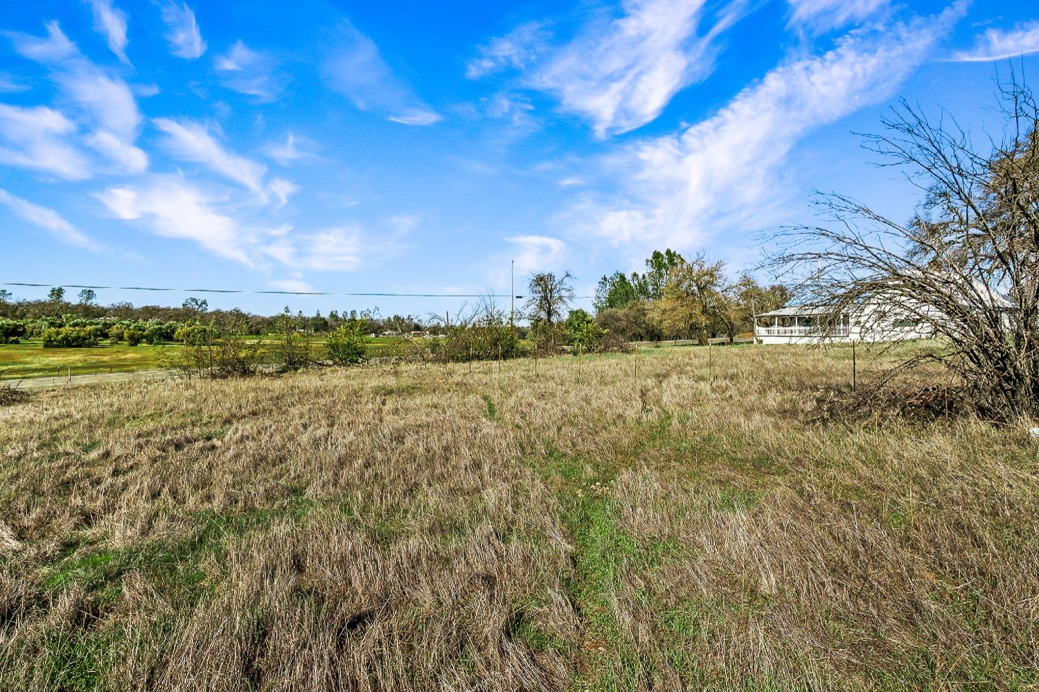 La Porte Road, Bangor, California image 3