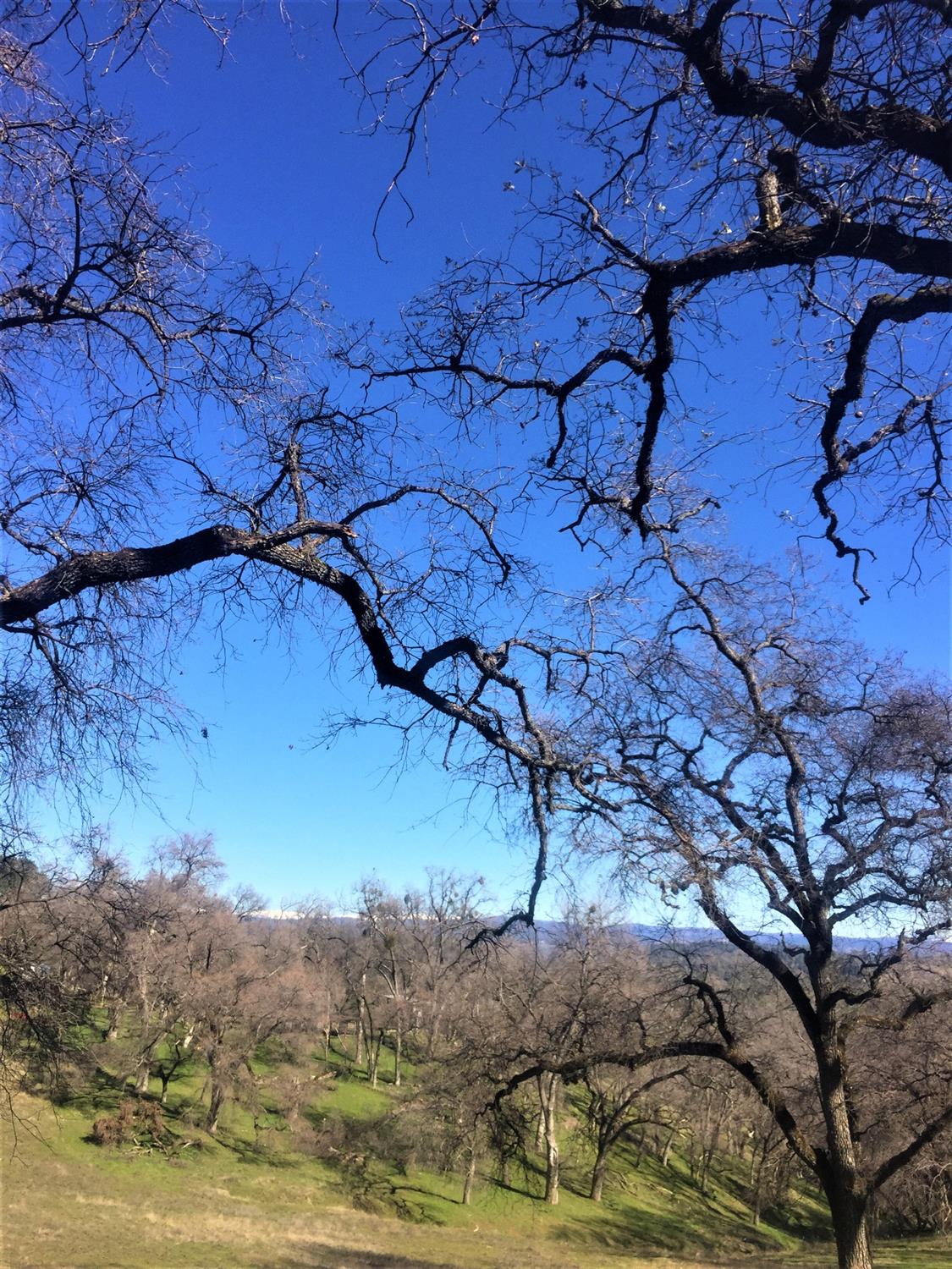 Photo of 2241 Sand Ridge Rd in El Dorado, CA