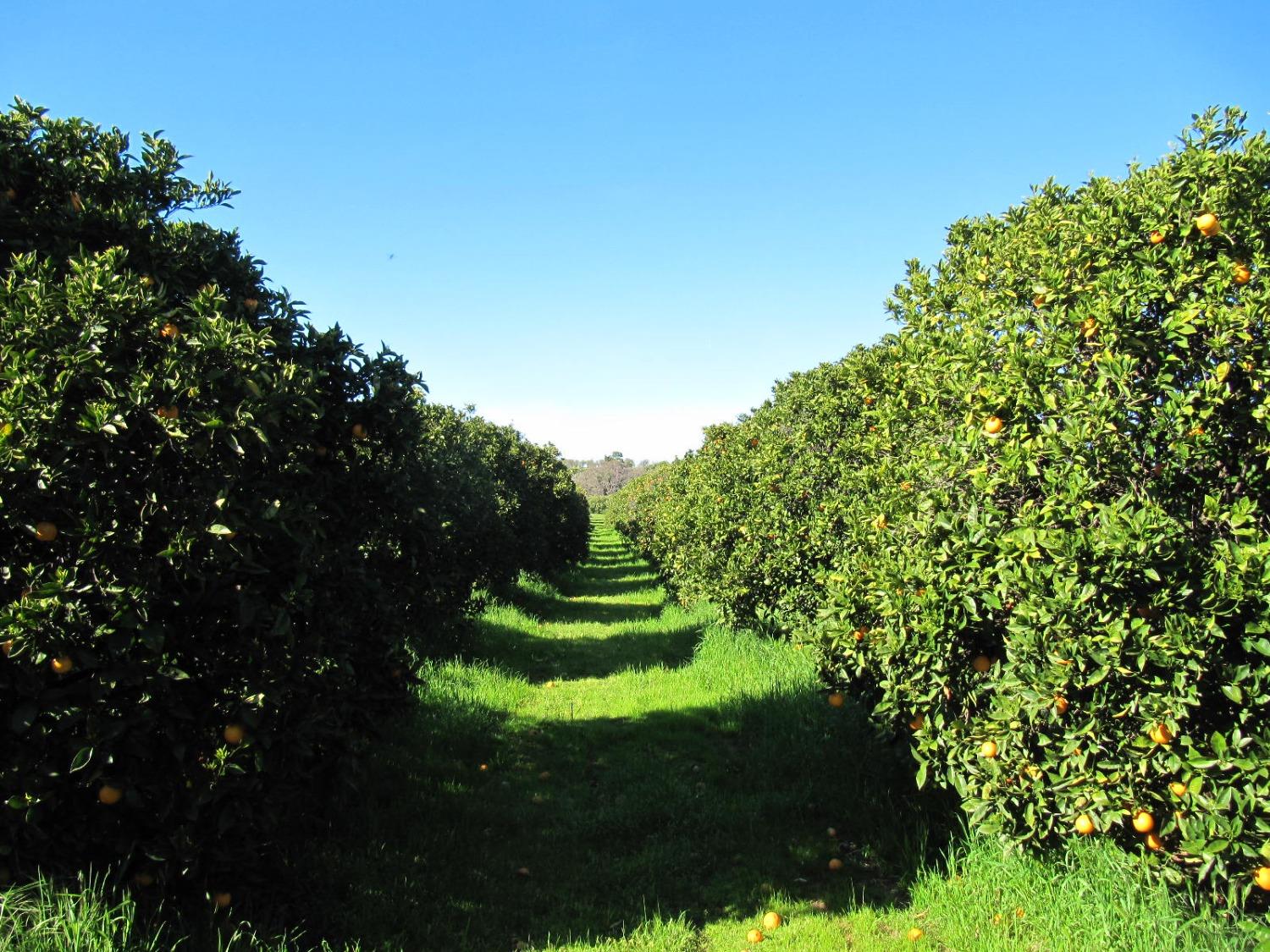 Photo of 0 County Rd 34 in Winters, CA