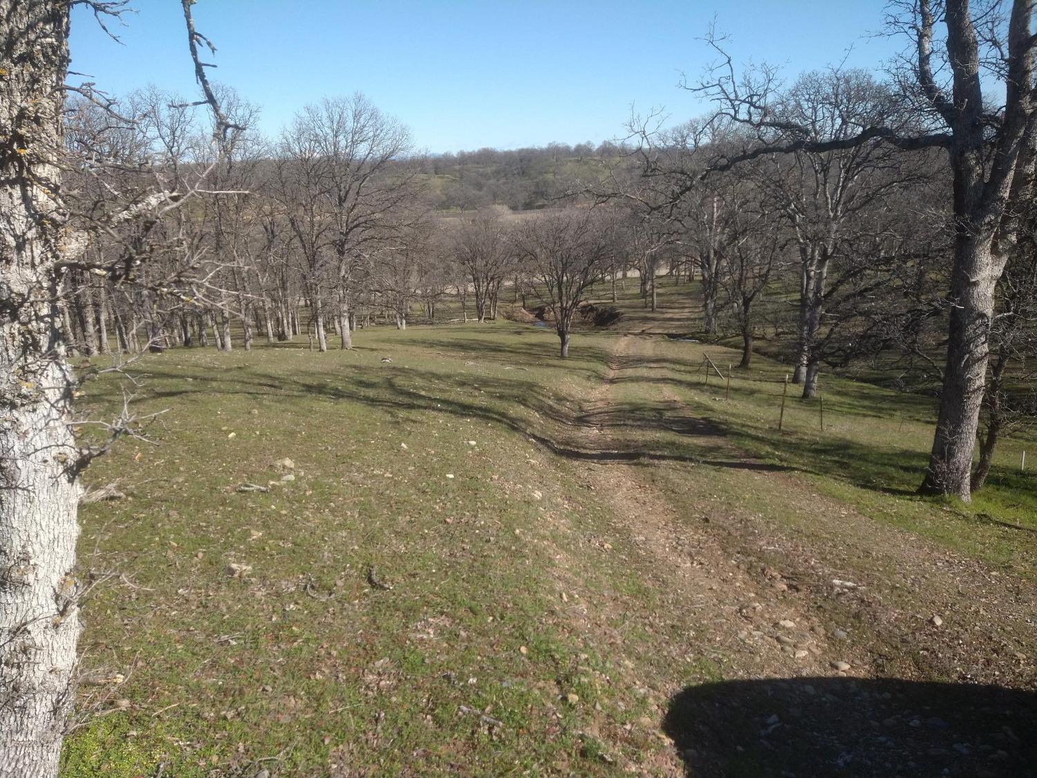 Mccoy Road, Red Bluff, California image 3