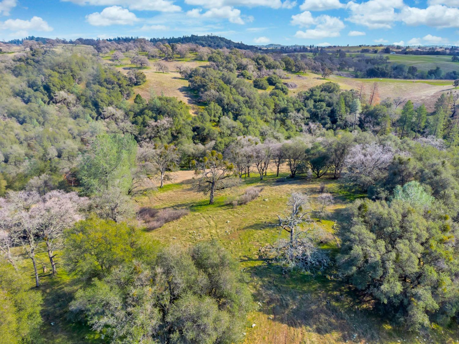 Photo of Bell Rd in Plymouth, CA
