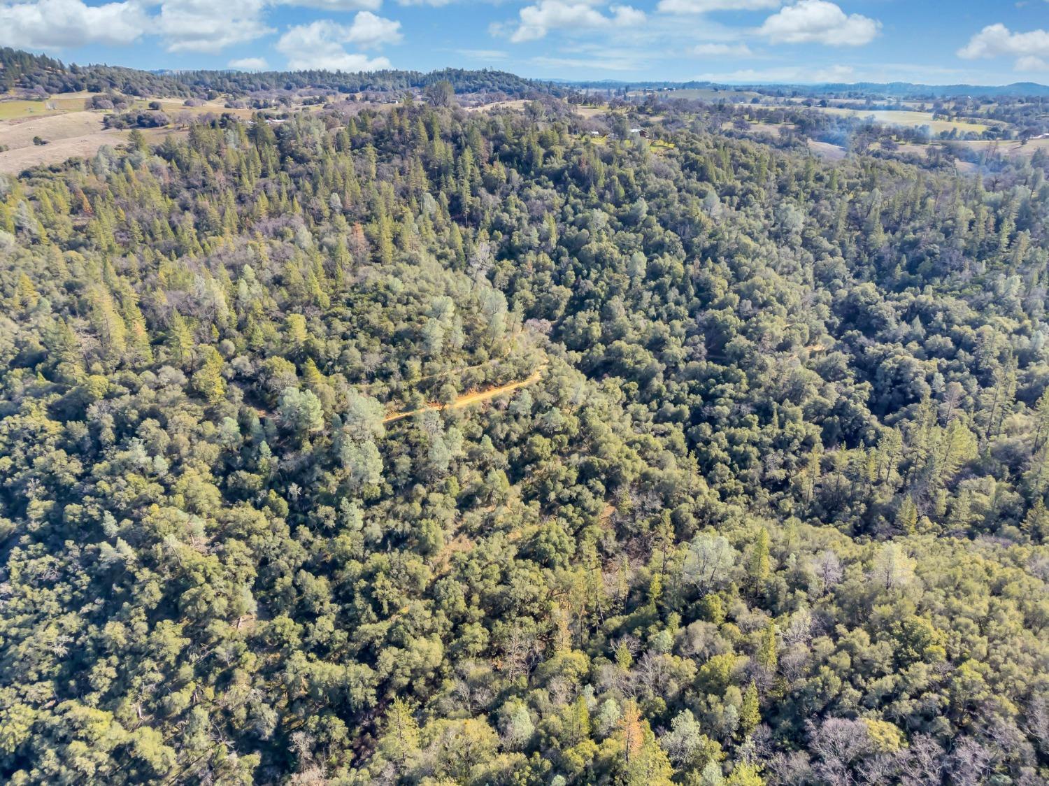 Photo of Bell Rd in Plymouth, CA