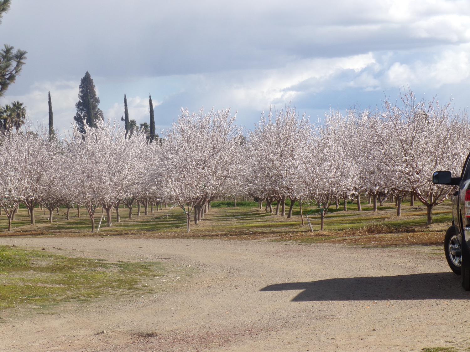 Photo of 2210 County Rd 88 in Dunnigan, CA