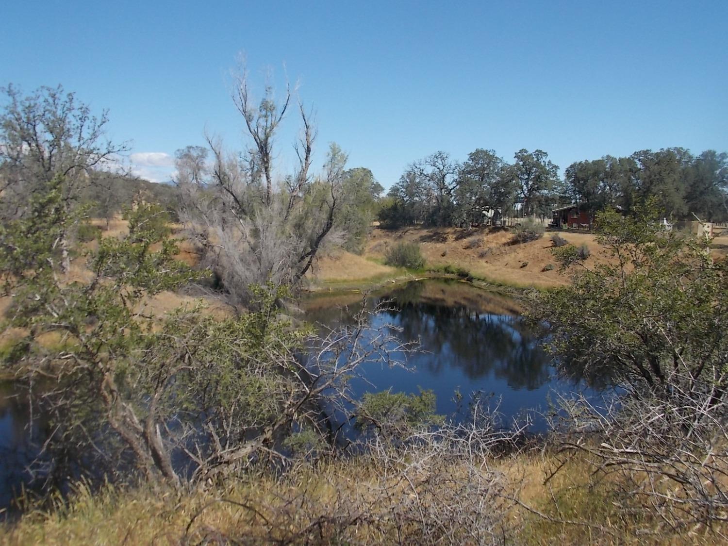 Coyote Path, Stonyford, California image 16