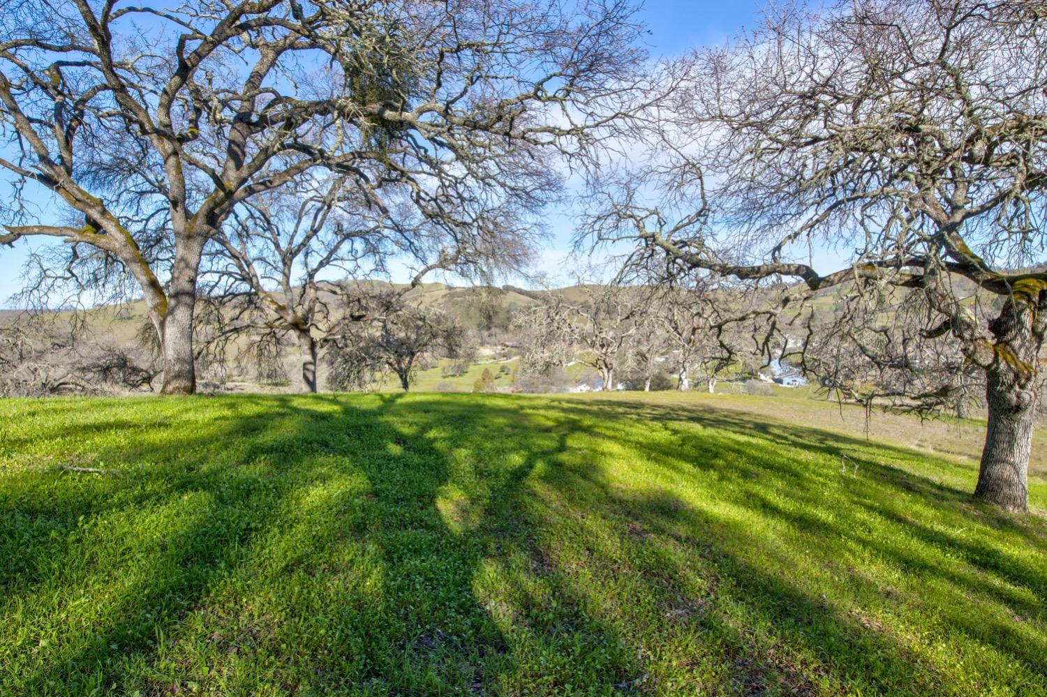 Photo of Bunker Hill Rd in Amador City, CA