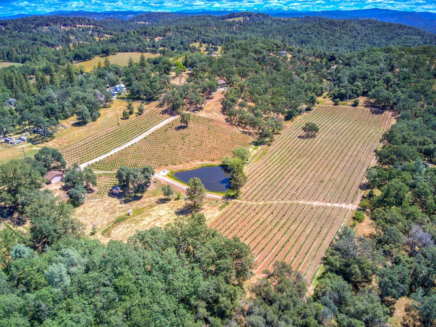 Photo of 2091 Riesling Wy in Placerville, CA