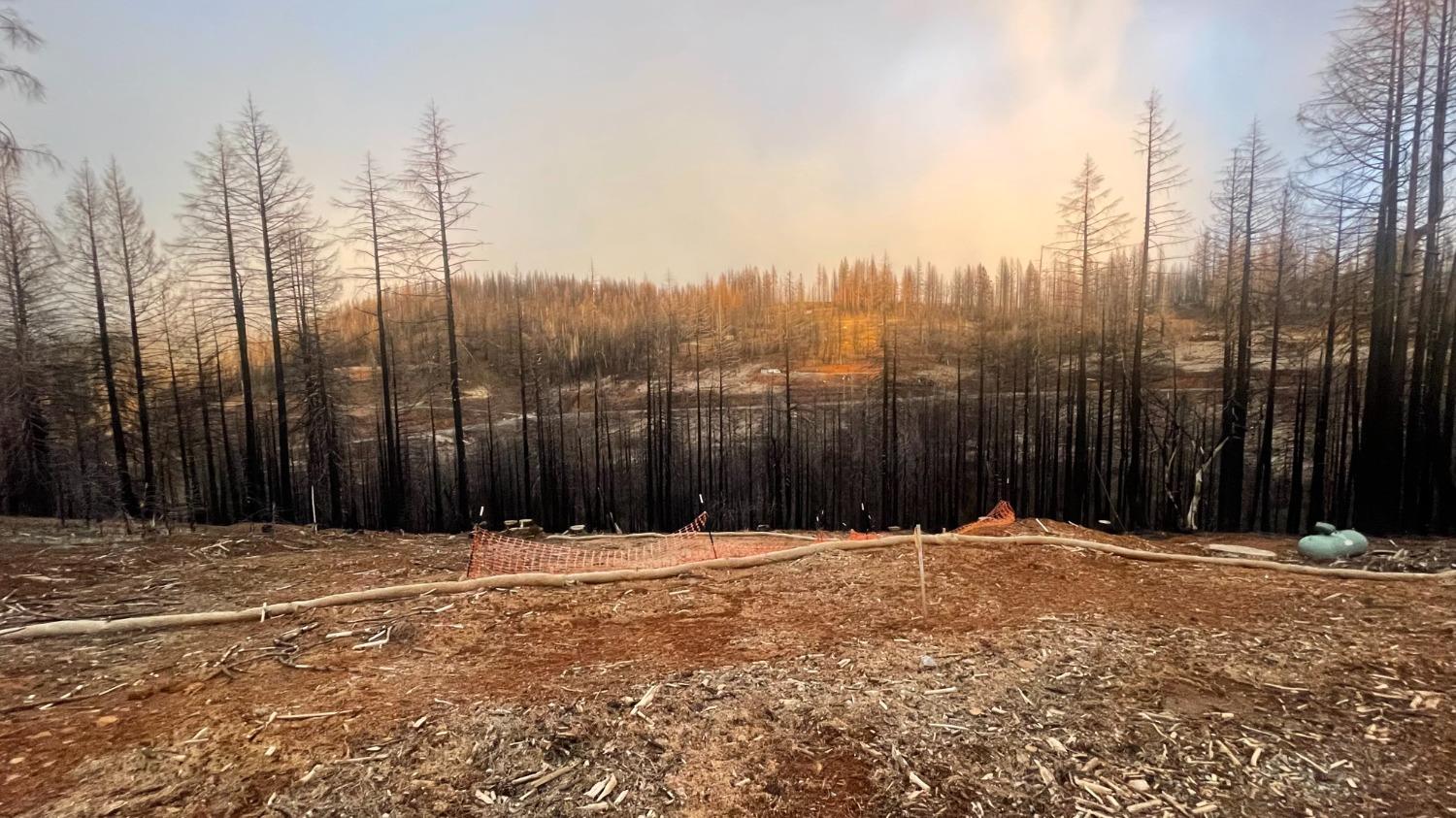 Photo of 4840 Creekside Dr in Grizzly Flats, CA