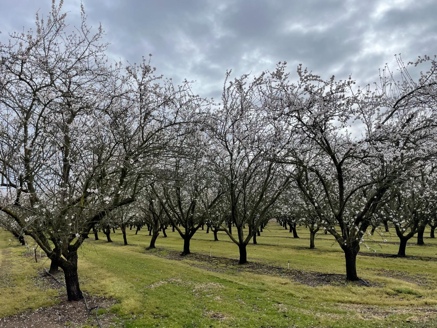 N Winton Way, Winton, California image 8