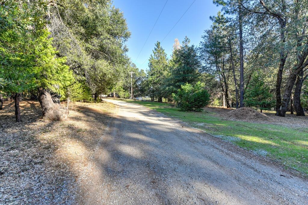 Golden Ridge Drive, Volcano, California image 2