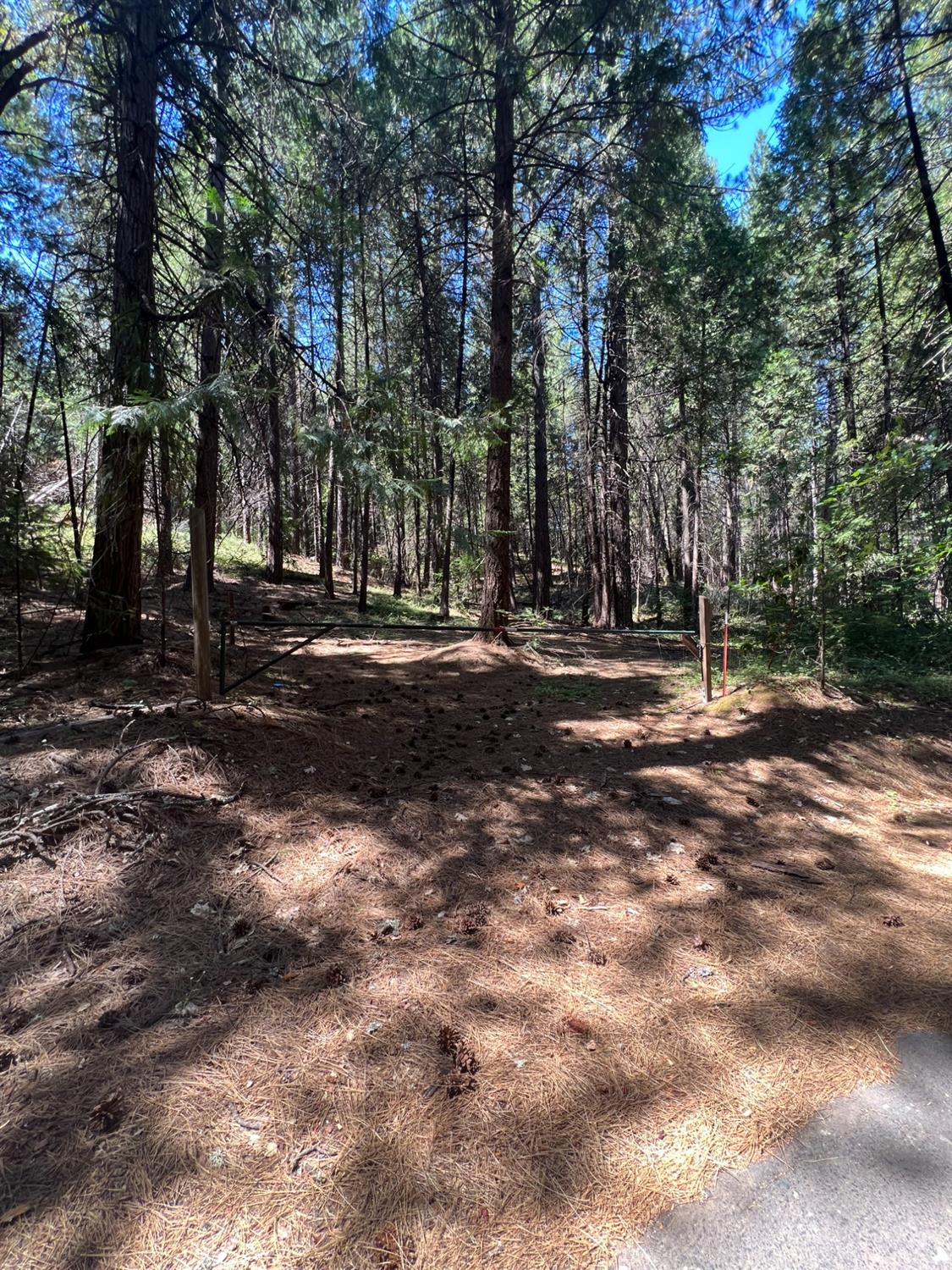 Photo of 754 Deardorff Rd in Glencoe, CA