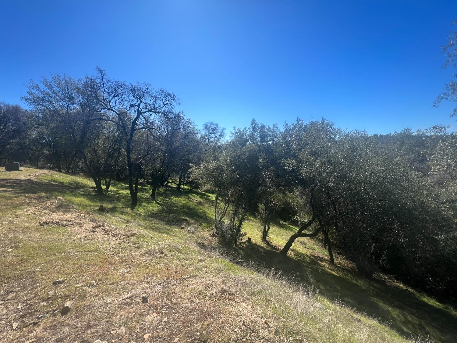 501 Cambridge Court, Auburn, CA 95603