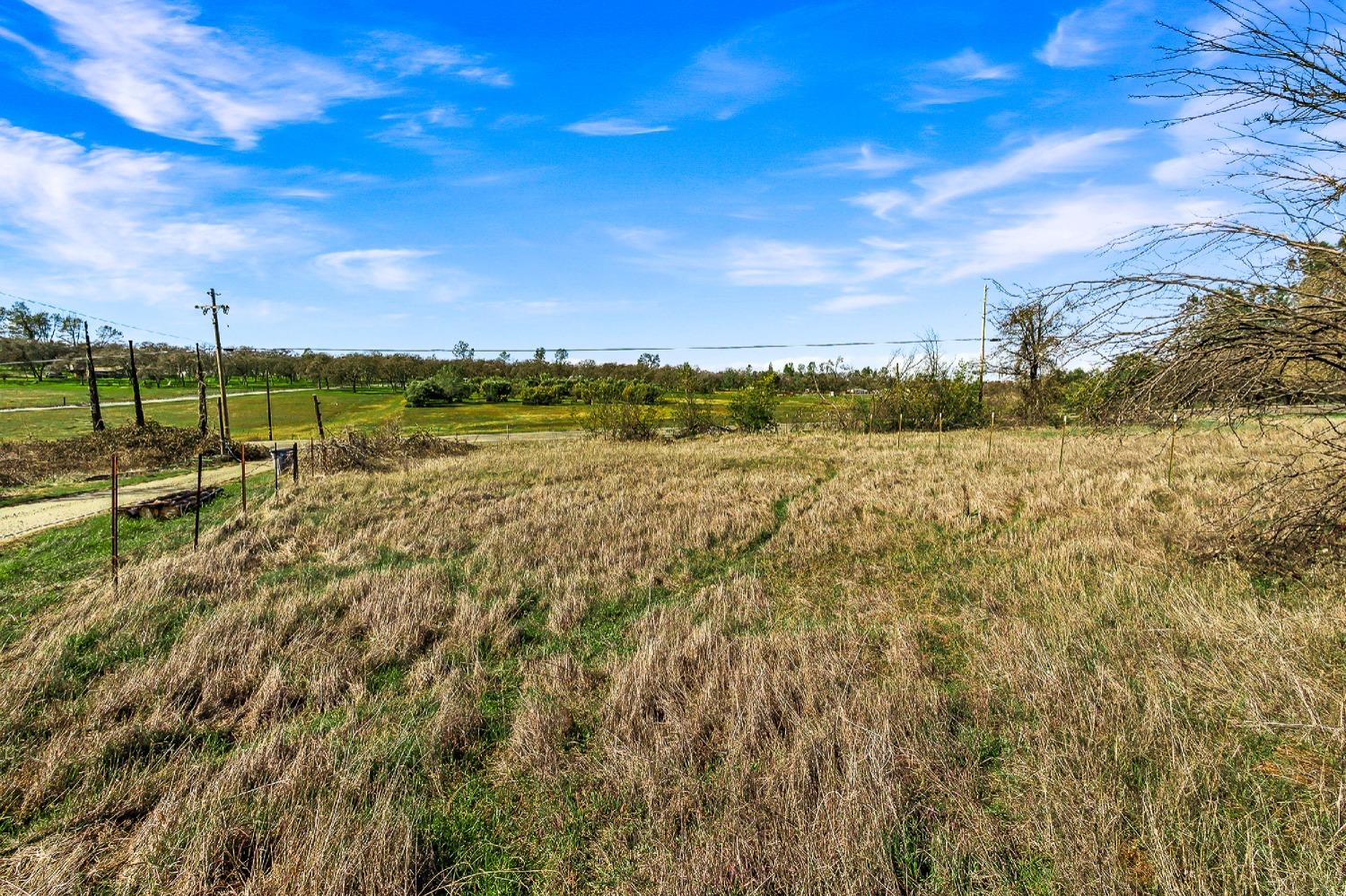 La Porte Road, Bangor, California image 6