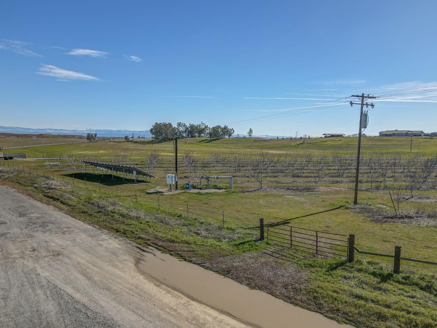 Detail Gallery Image 8 of 27 For 0 Butte Mountain Rd, Corning,  CA 96021 - – Beds | – Baths