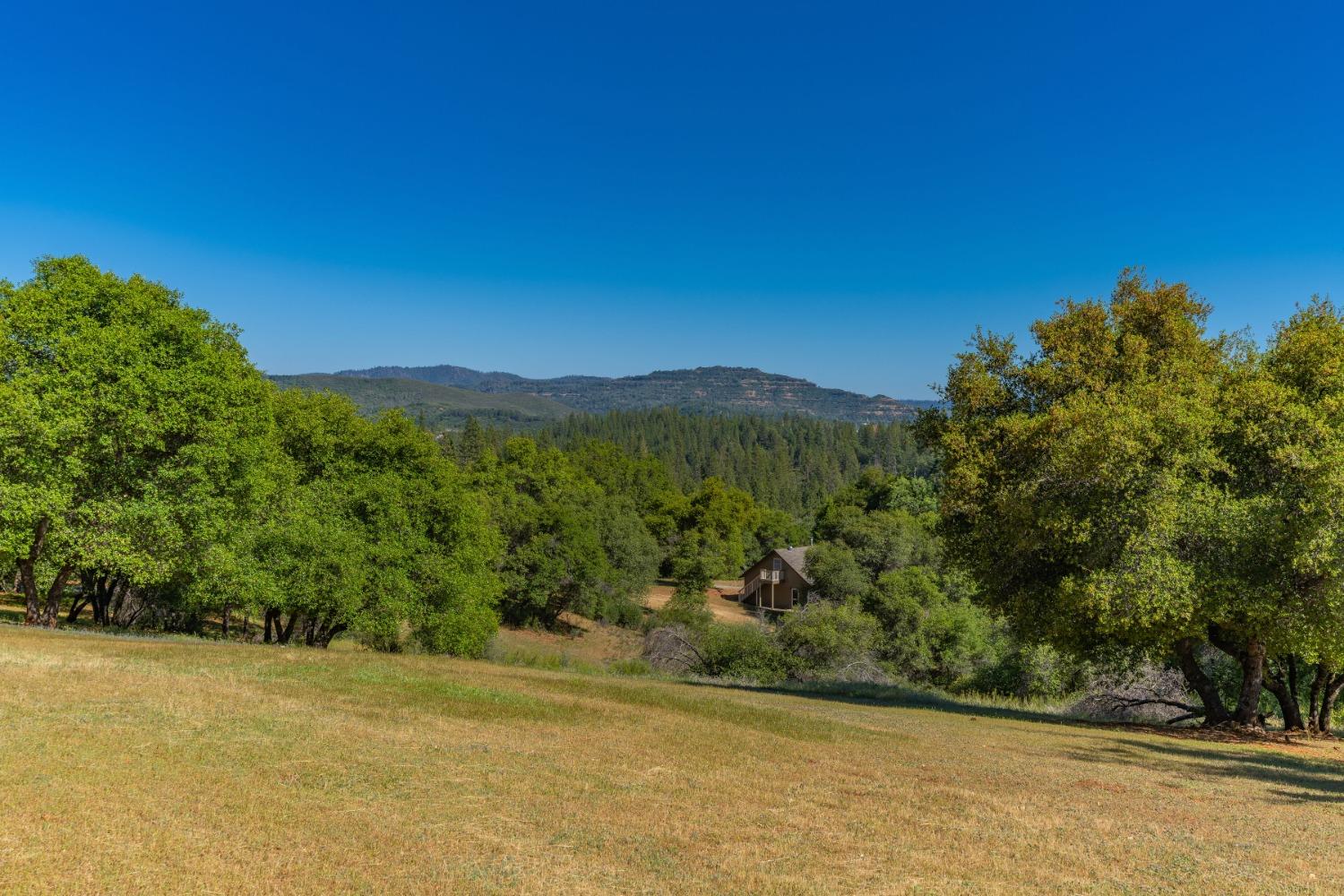 John Dear, Rail Road Flat, California image 14