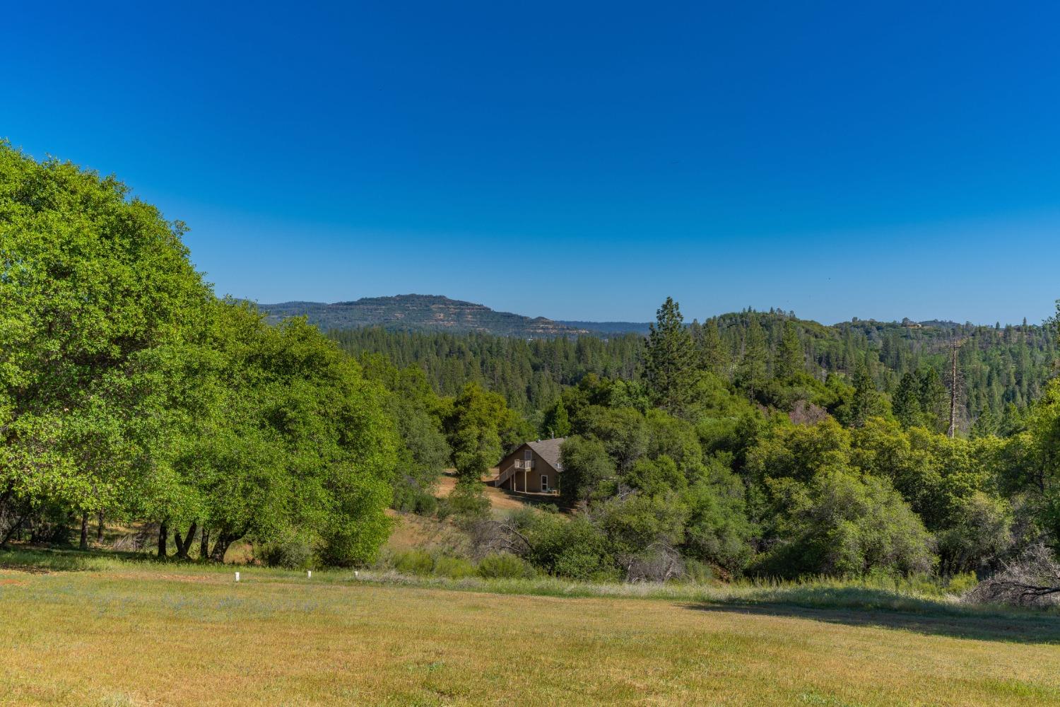 John Dear, Rail Road Flat, California image 25