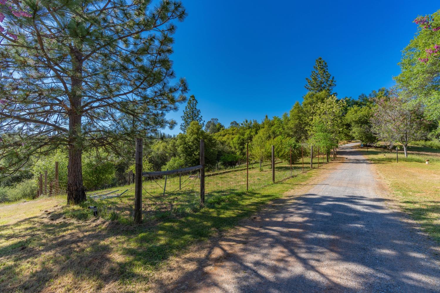 John Dear, Rail Road Flat, California image 18