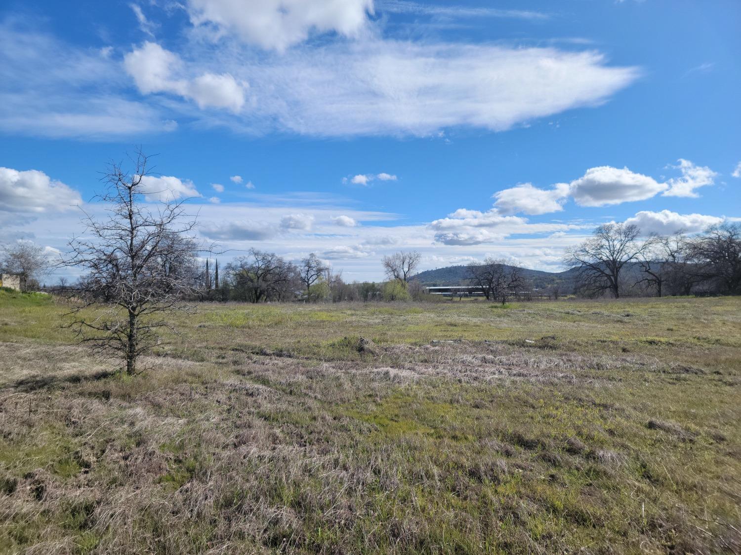 Smith Rd., Loma Rica, California image 6