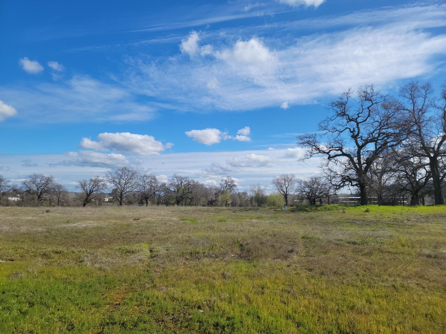 Smith Rd., Loma Rica, California image 4