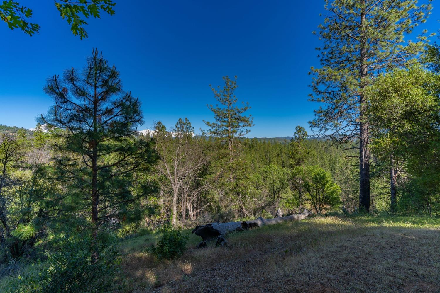 John Dear, Rail Road Flat, California image 17