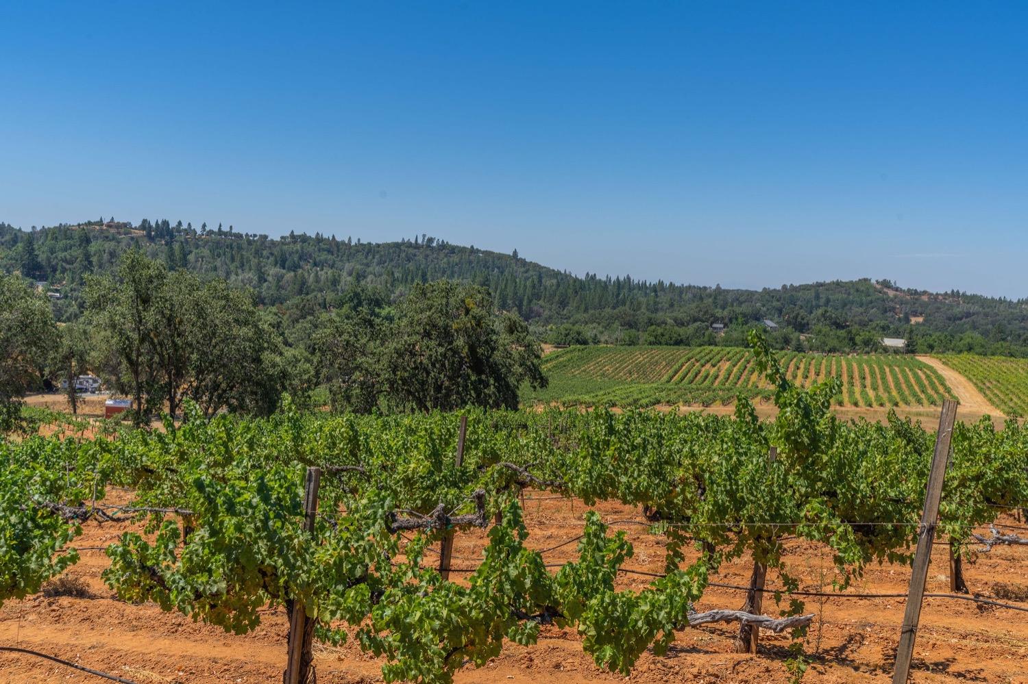 Photo of 20550 Ostrom Rd in Fiddletown, CA