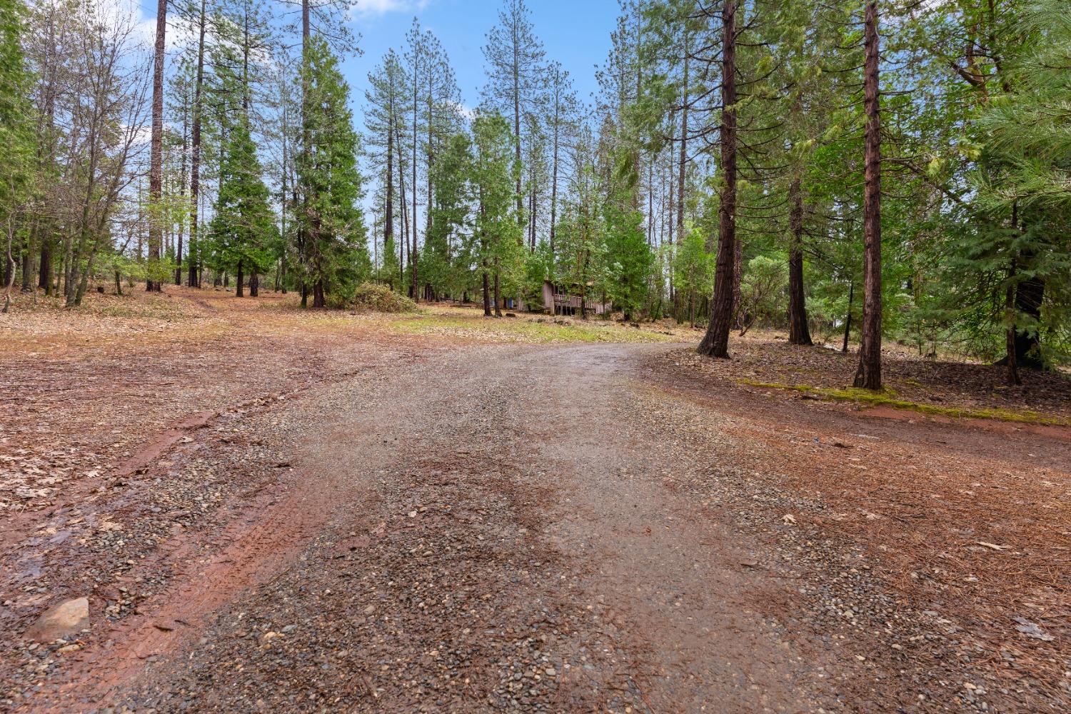 Oregon Peak Road, Dobbins, California image 36