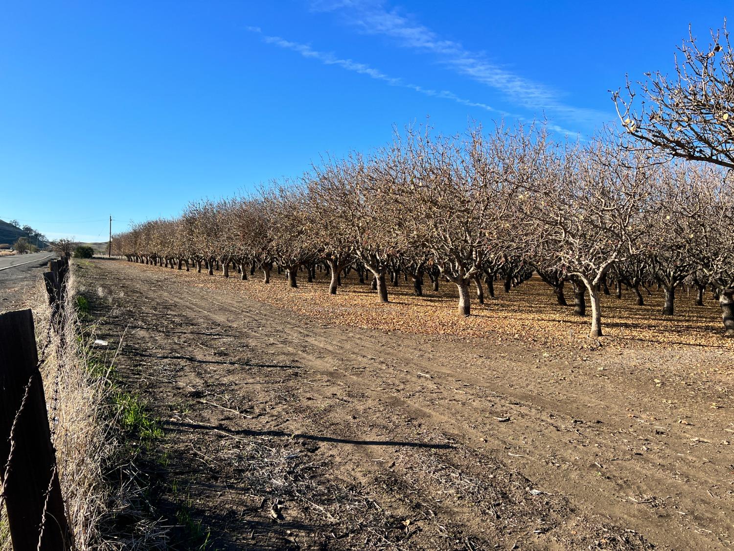 Pass Road, Sutter, California image 18