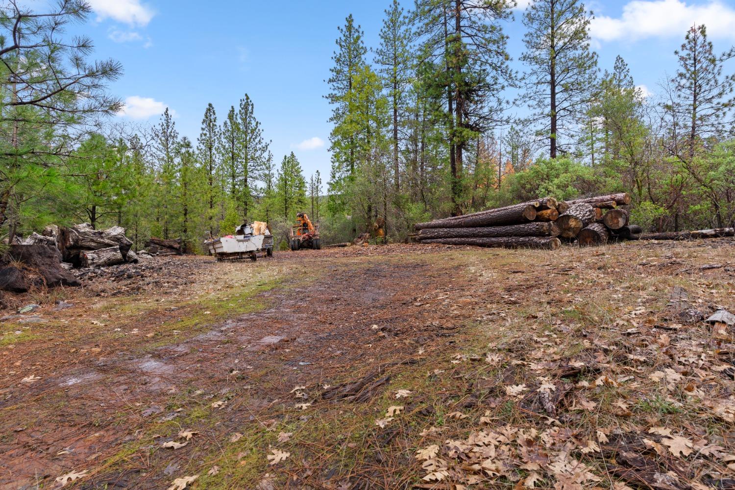 Oregon Peak Road, Dobbins, California image 39