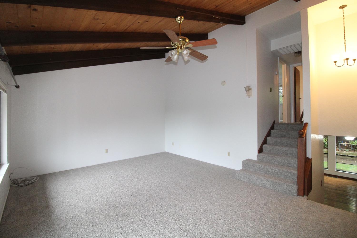 Photo #8: 223020213 Listing 