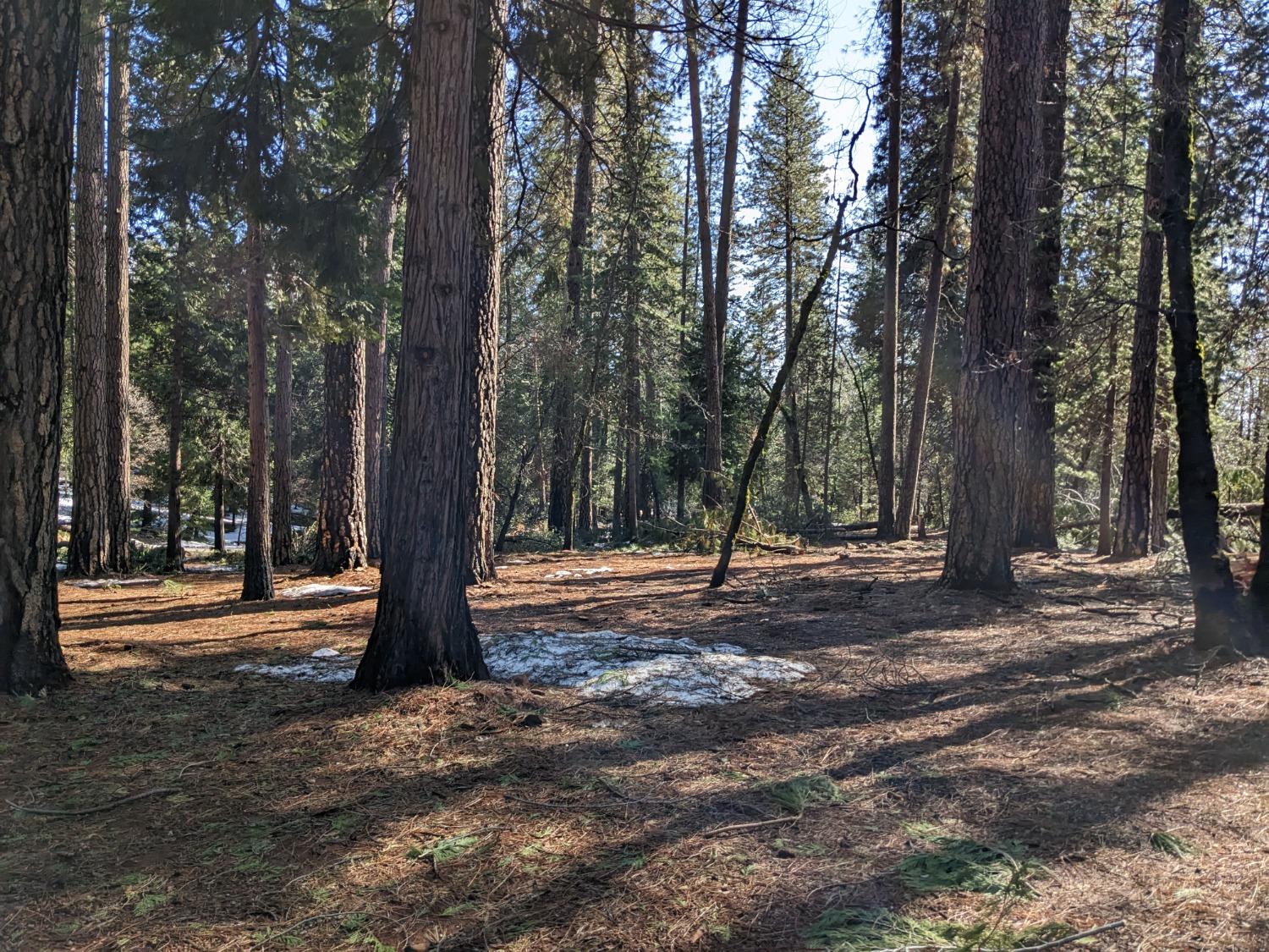 15023 Meadow Drive, Grass Valley, CA 95945
