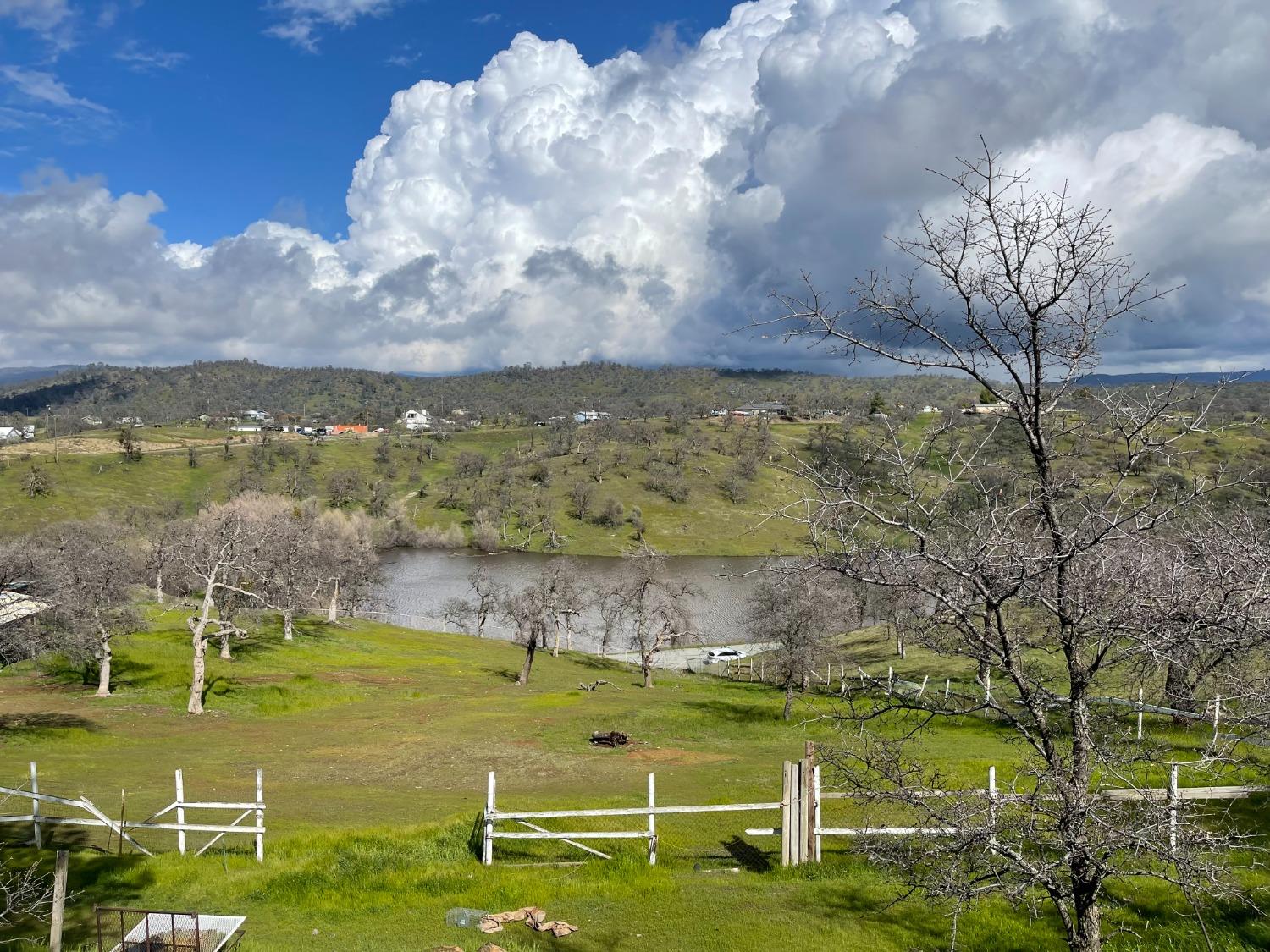 Buena Vista, La Grange, California image 3