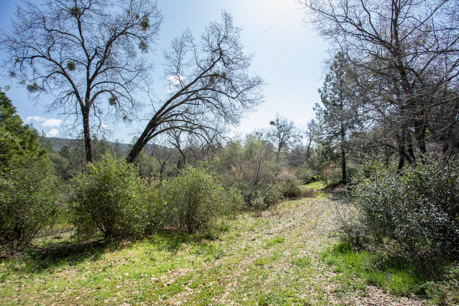 Darby Road, Bangor, California image 36