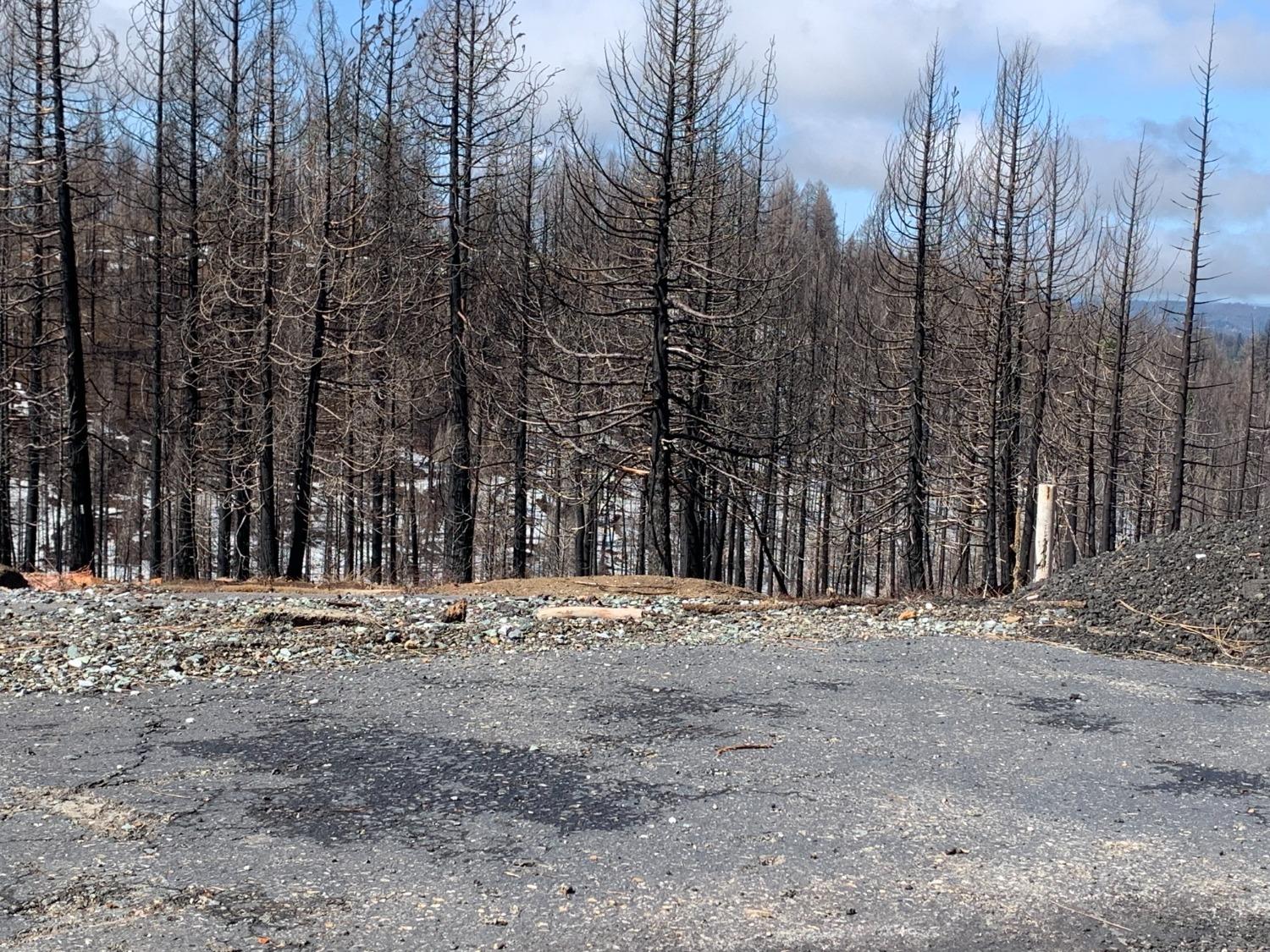Photo of 5019 Rollingwood Dr in Grizzly Flats, CA