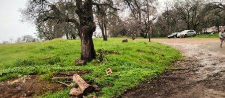 Photo of 1 Cherokee in Oroville, CA