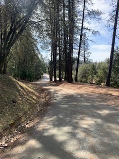 30041 State Highway 49, Nevada City, CA 95959