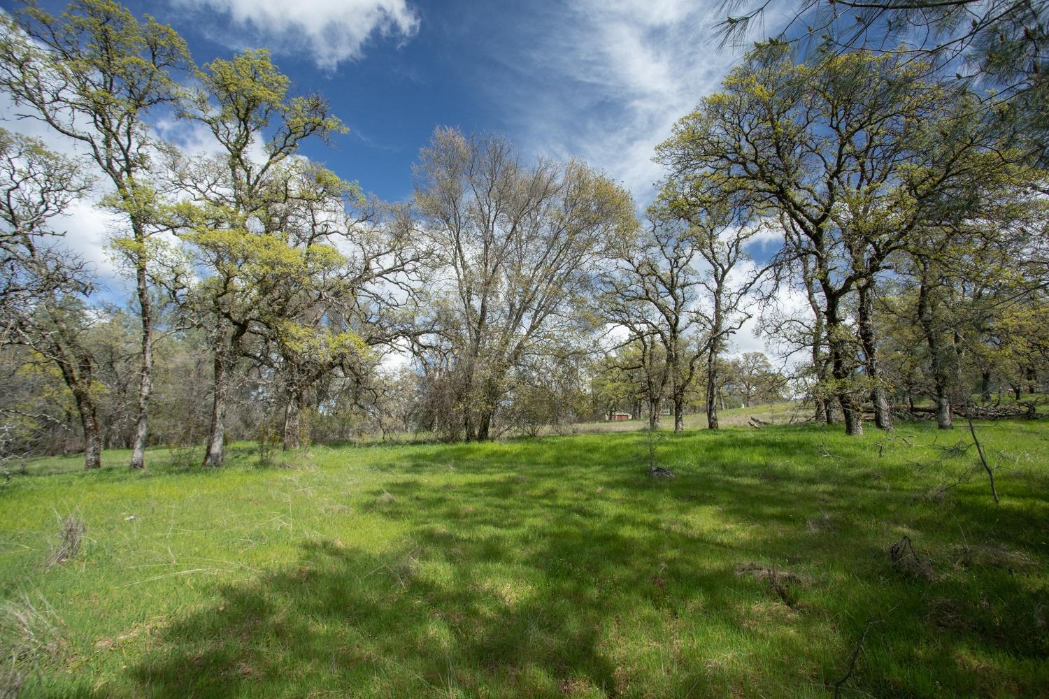 Simone Court, Browns Valley, California image 5