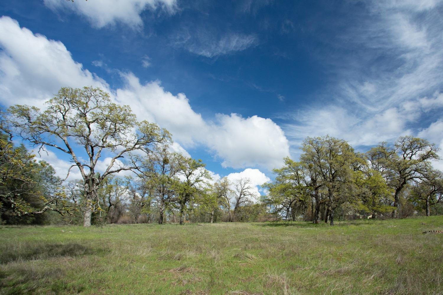 Simone Court, Browns Valley, California image 6