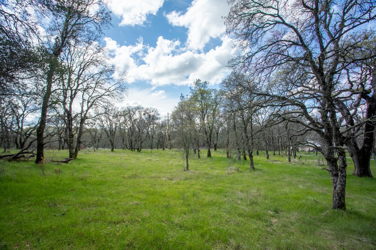 Simone Court, Browns Valley, California image 8