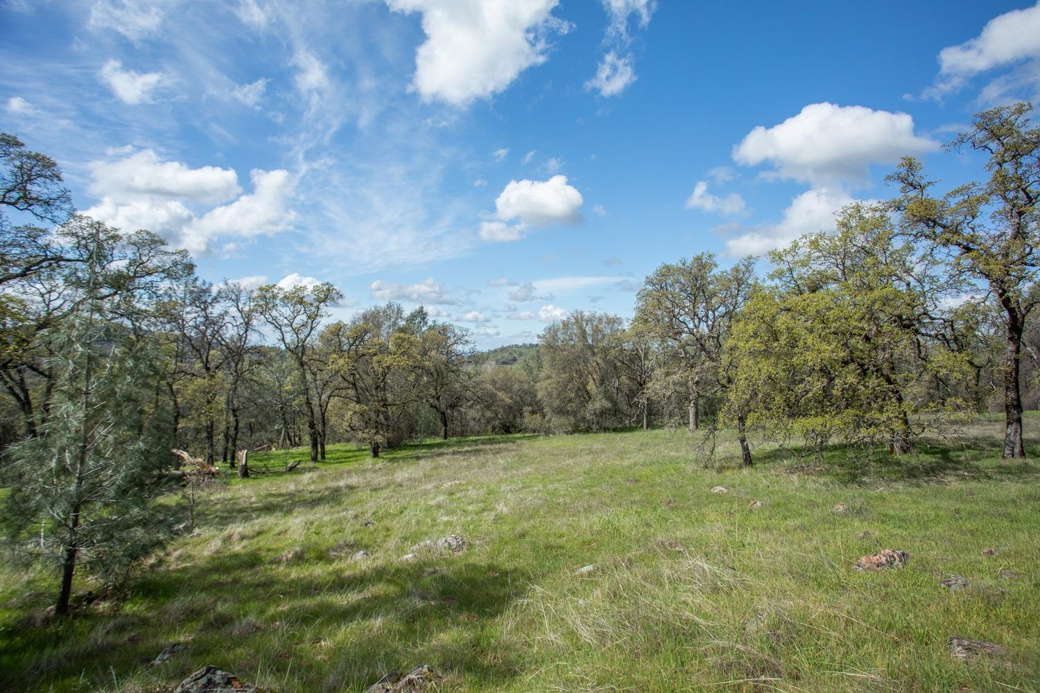 Simone Court, Browns Valley, California image 7