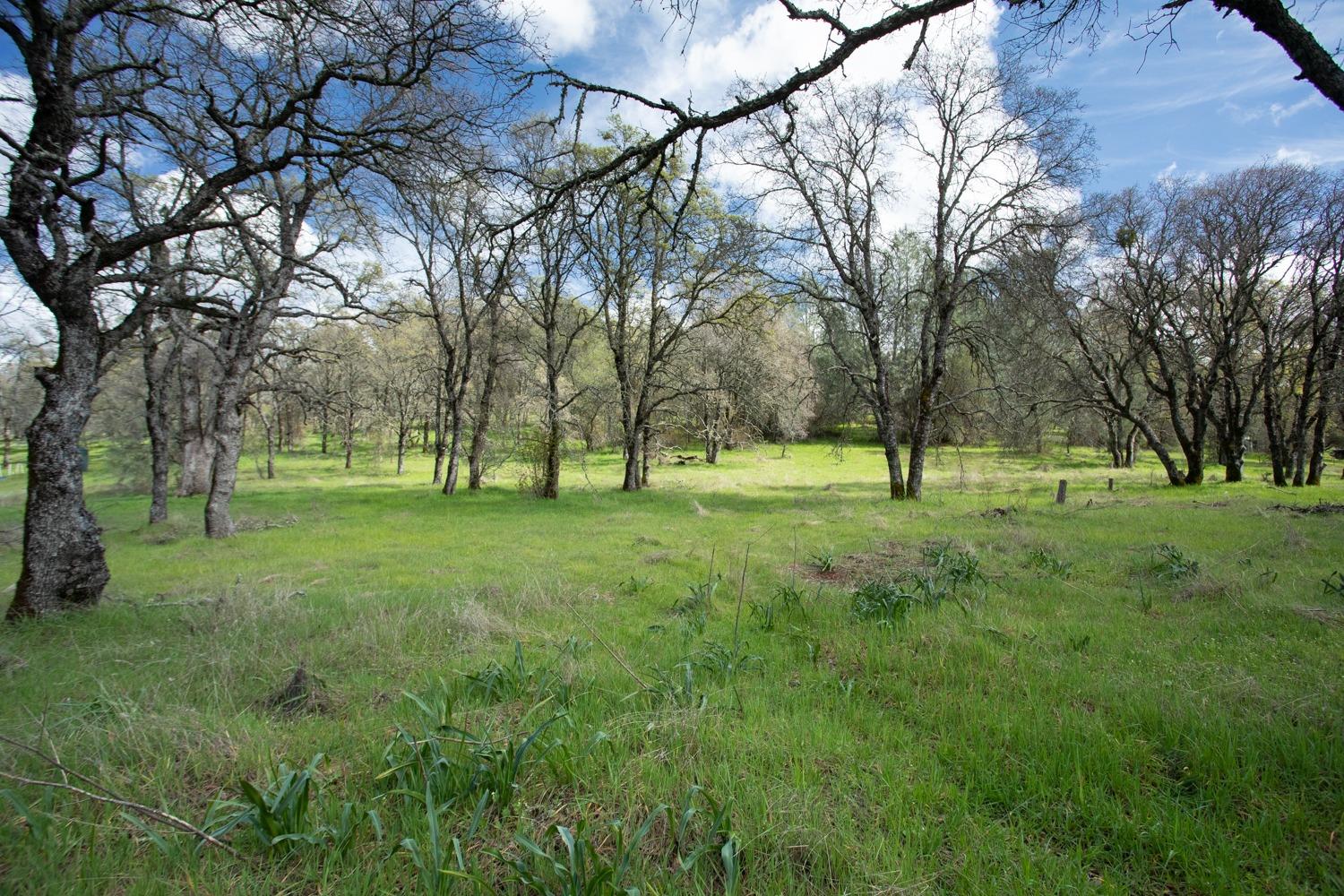 Simone Court, Browns Valley, California image 9