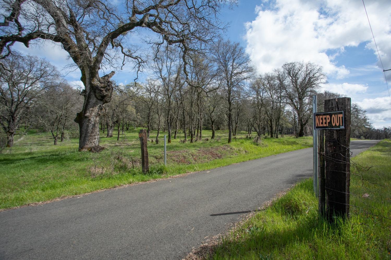 Simone Court, Browns Valley, California image 10