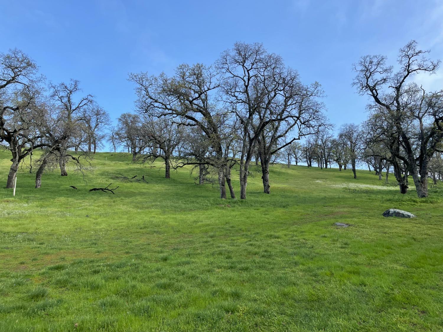 Photo of 3496 Paseo Tranquilo in Lincoln, CA