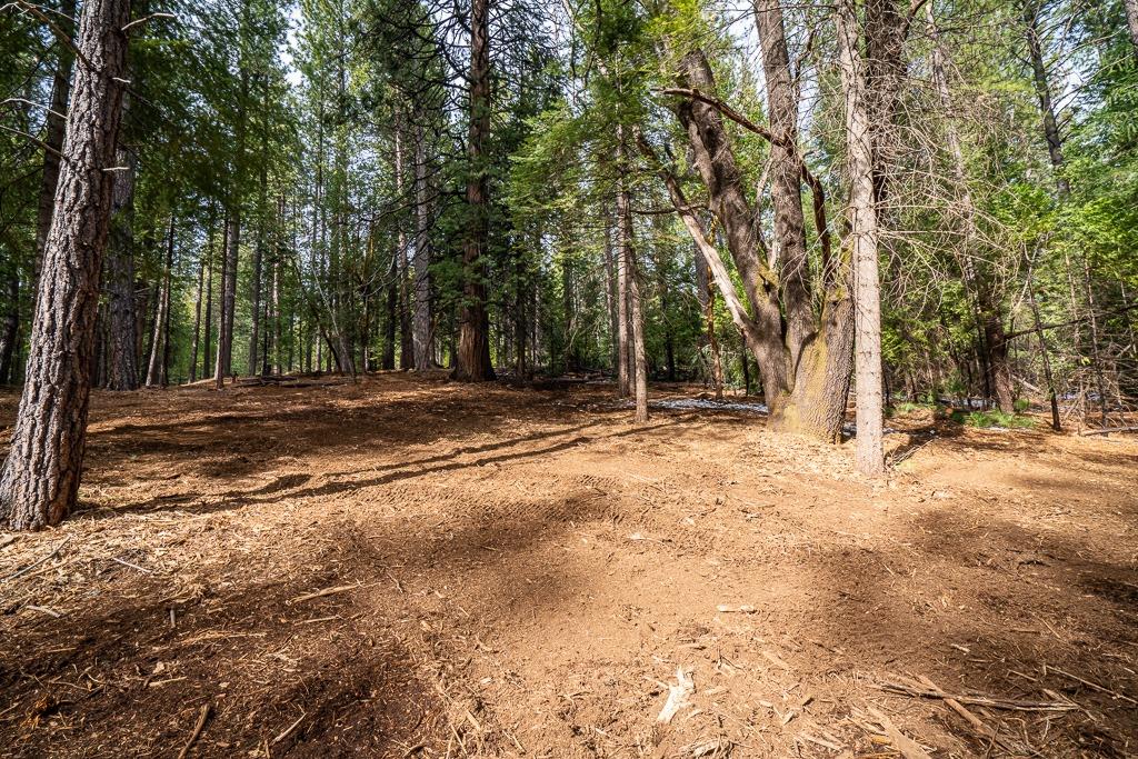 Photo of 27339 Ashland Dr in Pioneer, CA