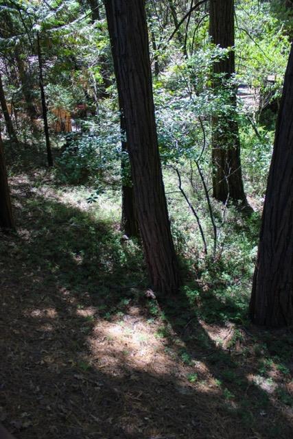 0 Laurel Avenue, Twain Harte, CA 95383