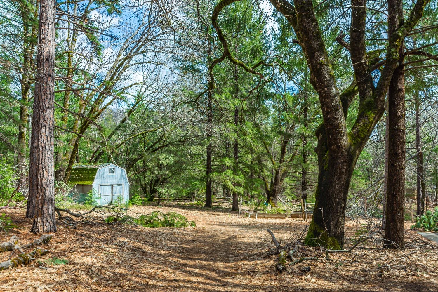 Detail Gallery Image 52 of 52 For 14221 Renmar Ct, Grass Valley,  CA 95945 - 4 Beds | 2/1 Baths