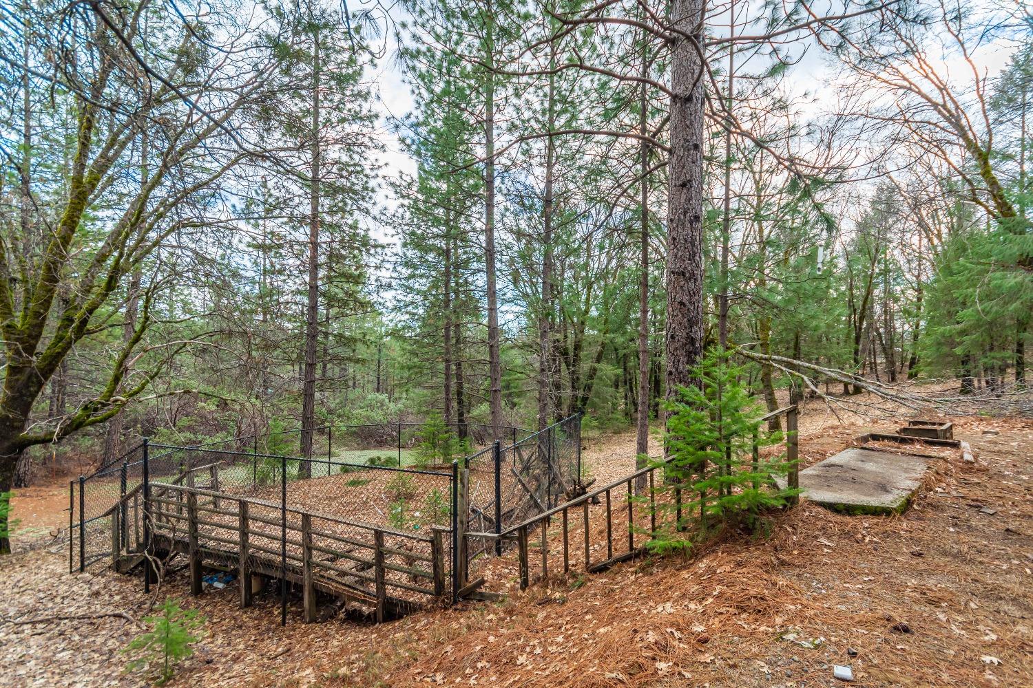 Detail Gallery Image 51 of 52 For 14221 Renmar Ct, Grass Valley,  CA 95945 - 4 Beds | 2/1 Baths