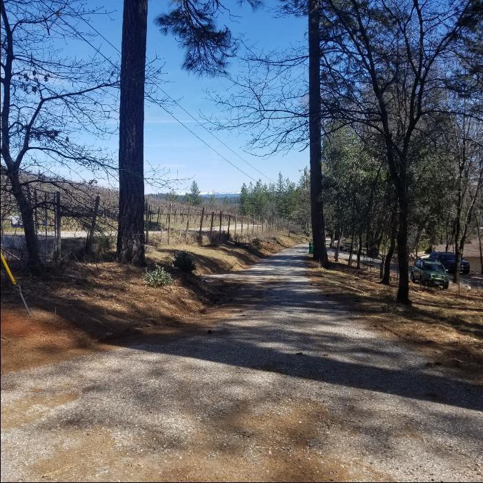 Detail Gallery Image 7 of 9 For 13117 Westhome Rd, Grass Valley,  CA 95945 - – Beds | – Baths
