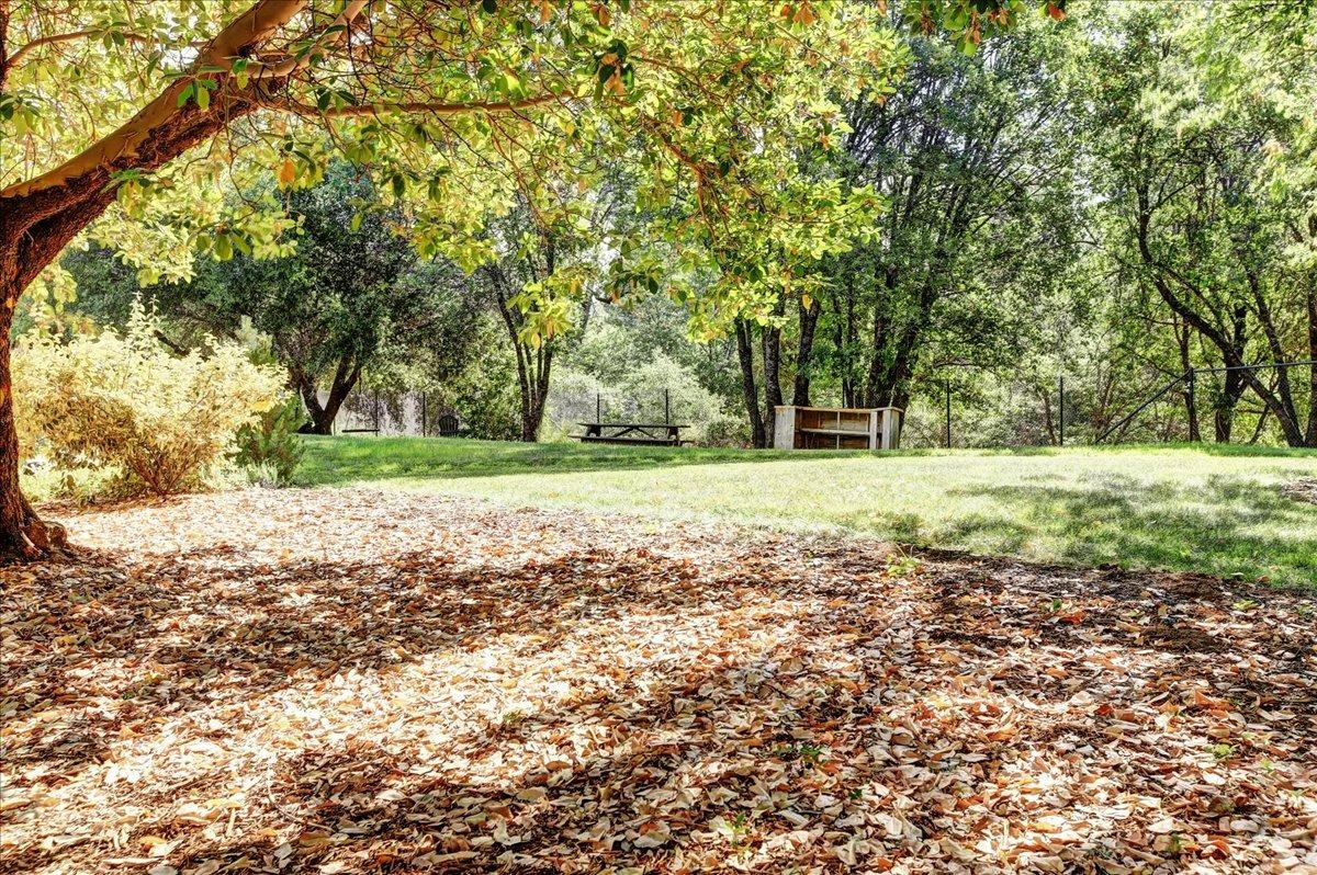 Detail Gallery Image 48 of 75 For 12475 Tyler Foote Crossing Rd, Nevada City,  CA 95959 - – Beds | – Baths