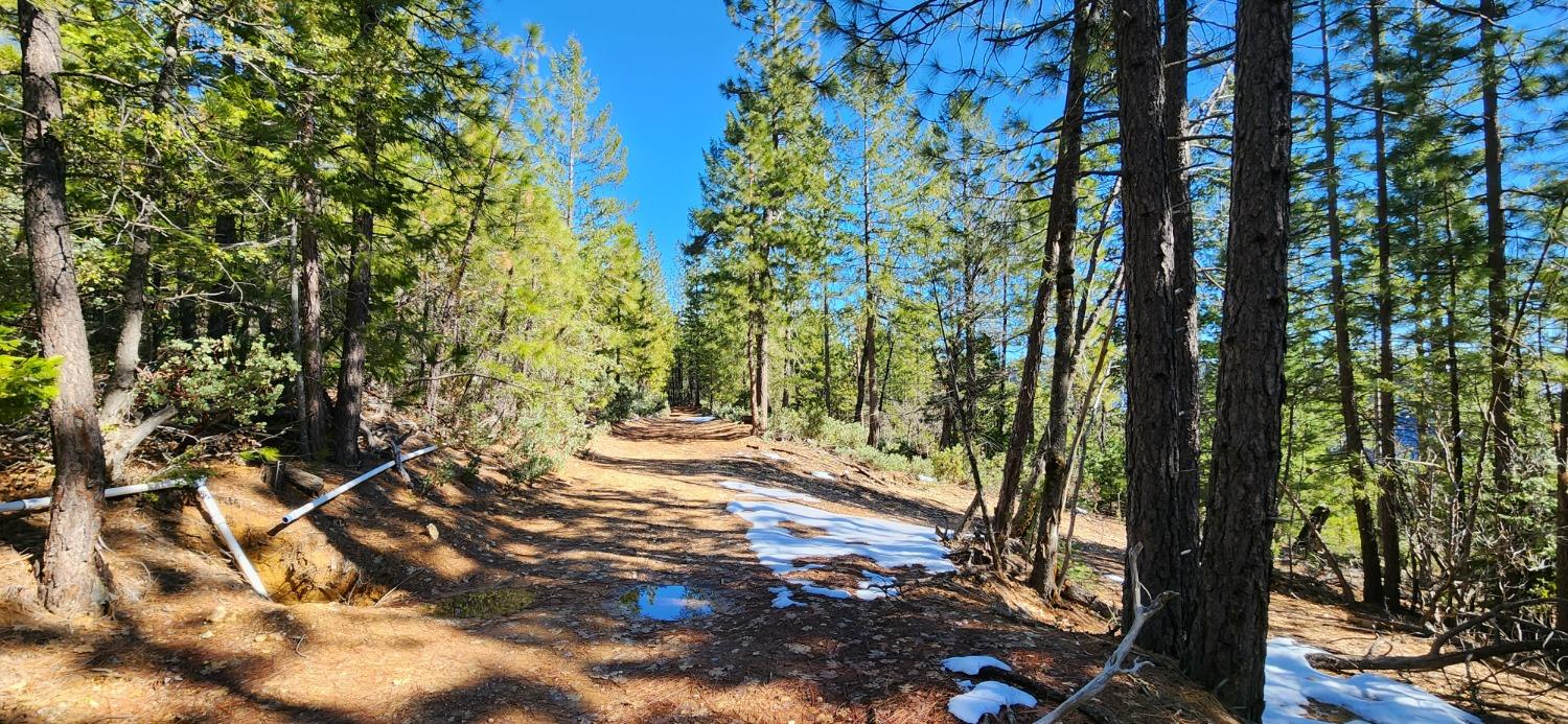 Detail Gallery Image 19 of 21 For 18286 Gaston Rd, Nevada City,  CA 95959 - – Beds | – Baths