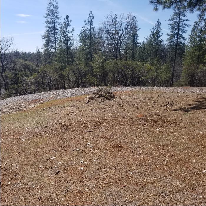 13117 Westhome Road, Grass Valley, CA 95945