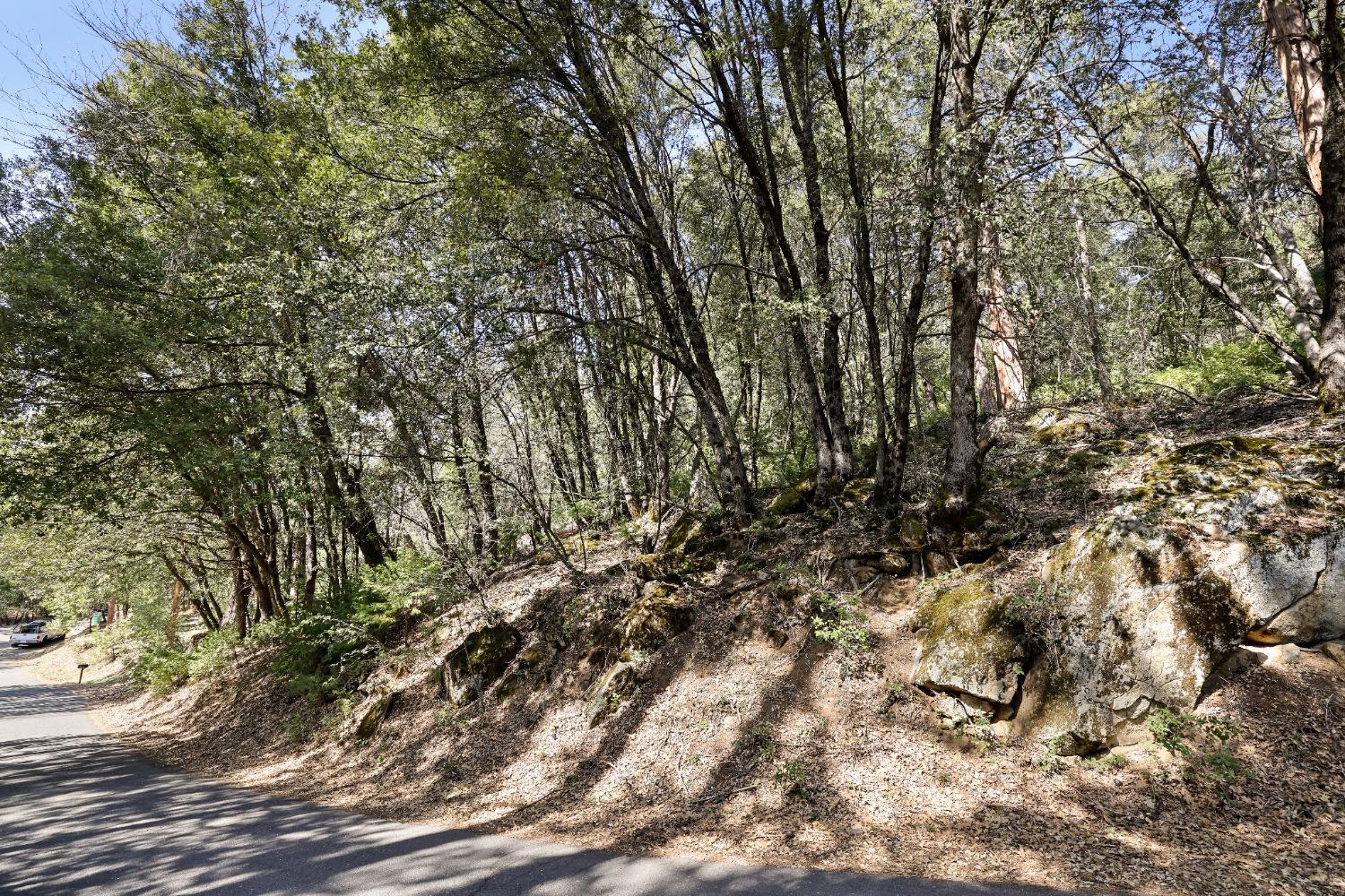 23265 Quail Drive, Twain Harte, CA 95383